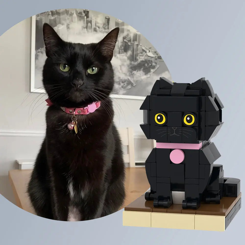 Aangepast huisdierstenen figuur, volledig aanpasbaar, 1 kat fotostenen figuur, alleen aangepaste kat
