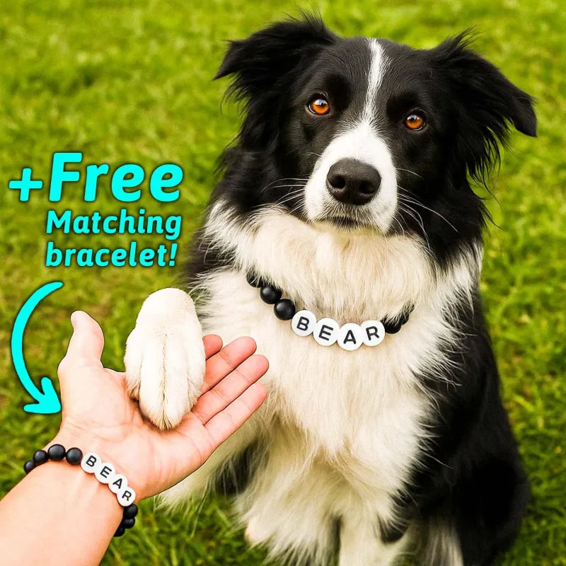 Personalized Pet Name Necklace – Comes with a Free Matching Bracelet
