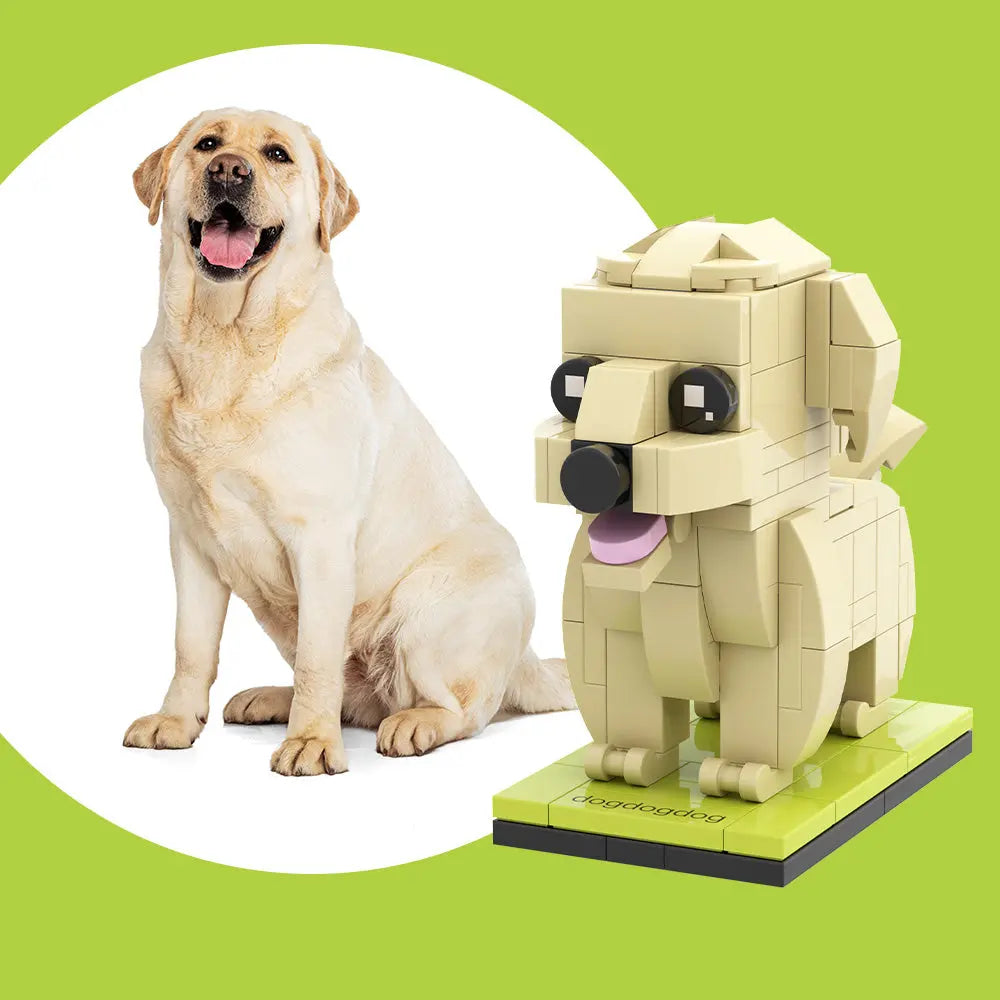 Volledig aanpasbare Labrador 1 Hond Foto Aangepaste Baksteenfiguren Kleine Deeltjes Blok Baksteenfiguren Aangepaste Labrador Alleen
