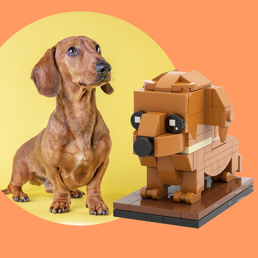 Volledig aanpasbare teckel 1 hond Foto aangepaste stenen figuren Kleine deeltjes blok stenen figuren Aangepaste teckel alleen