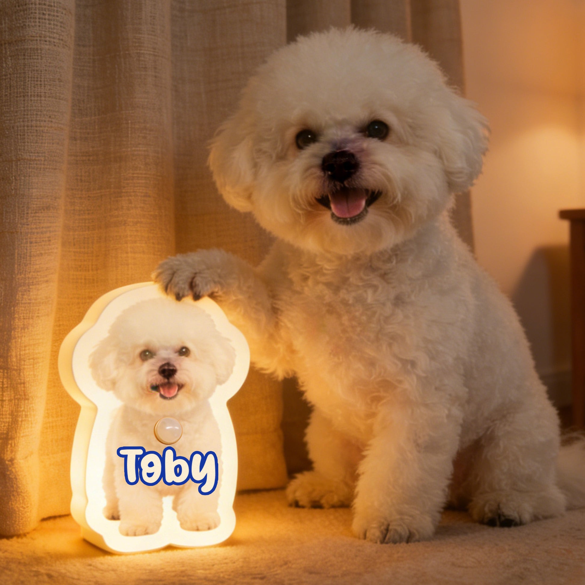 Personalized pet motion sensor wall lamp with custom cat and dog photo night light for pet lovers by MadeMine.