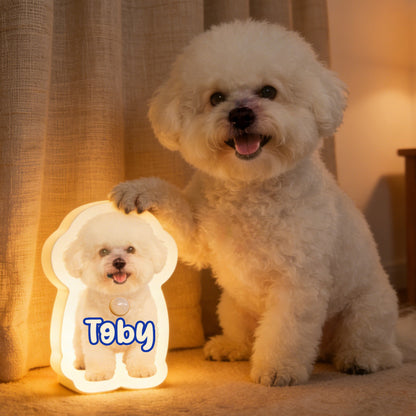 Personalized pet motion sensor wall lamp with custom cat and dog photo night light for pet lovers by MadeMine.