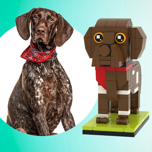 Volledig aanpasbare Duitse Staande Korthaar 1 Hond Foto Aangepaste Bakstenen Figuren Kleine Deeltjes Blokstenen Figuren Aangepaste Duitse